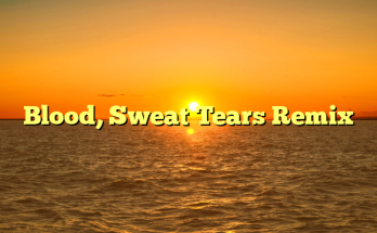 Blood, Sweat Tears Remix