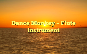 Dance Monkey – Flute instrument