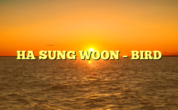 HA SUNG WOON – BIRD