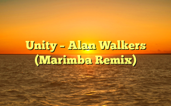 Unity – Alan Walkers (Marimba Remix)