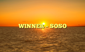 WINNER – SOSO