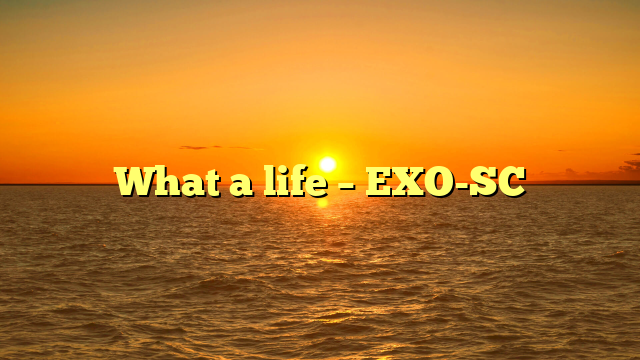 What a life – EXO-SC