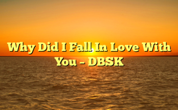 Why Did I Fall In Love With You – DBSK