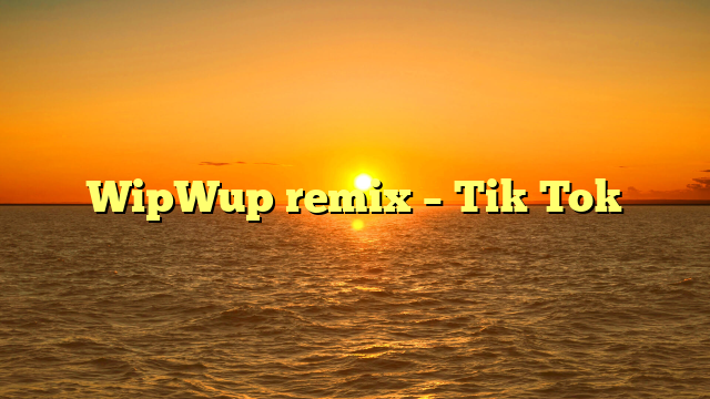 WipWup remix – Tik Tok