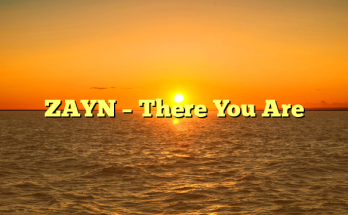ZAYN – There You Are