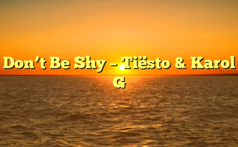 Don’t Be Shy – Tiësto & Karol G