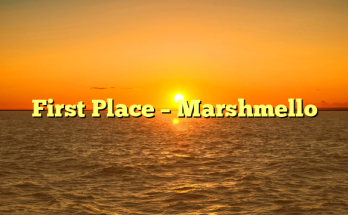 First Place – Marshmello