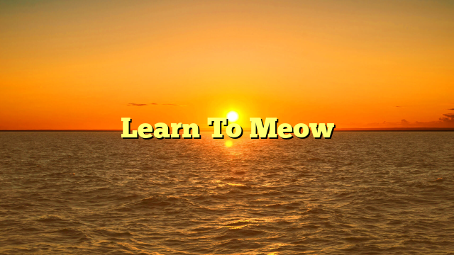 Learn To Meow