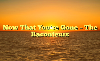 Now That You’re Gone – The Raconteurs